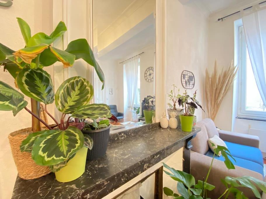Le Jardin Secret De Nady Apartment Carcassonne Exterior photo